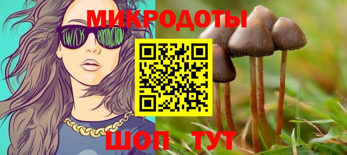 Галлюциногенные грибы Magic Shrooms Кисловодск