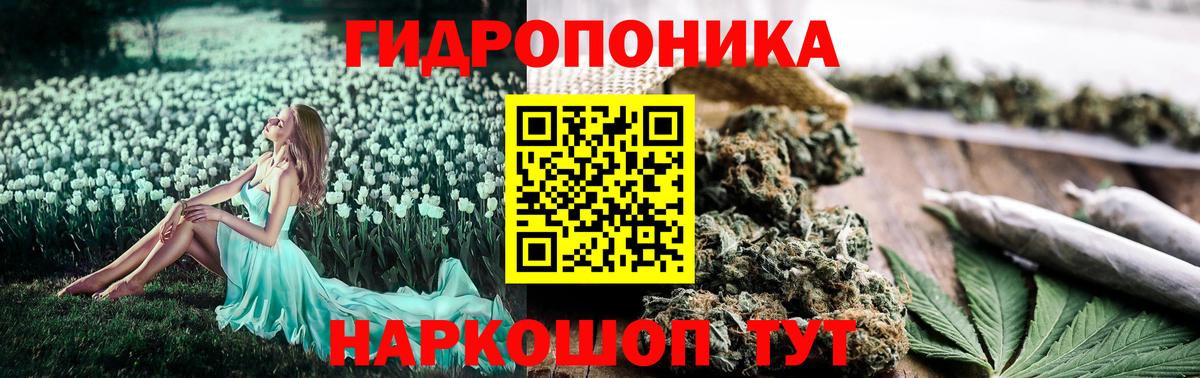 Кисловодск  Канабис сатива  Бошки Шишки индика  Вход с VPN 
